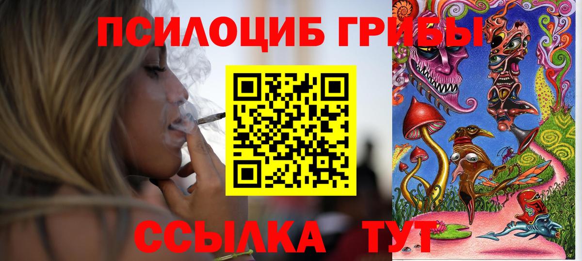 Галлюциногенные грибы прущие грибы Азнакаево