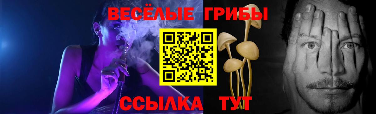 закладка  Вход с VPN  Псилоцибиновые грибы GOLDEN TEACHER  Азнакаево  Псилоцибиновые грибы Psilocybe 